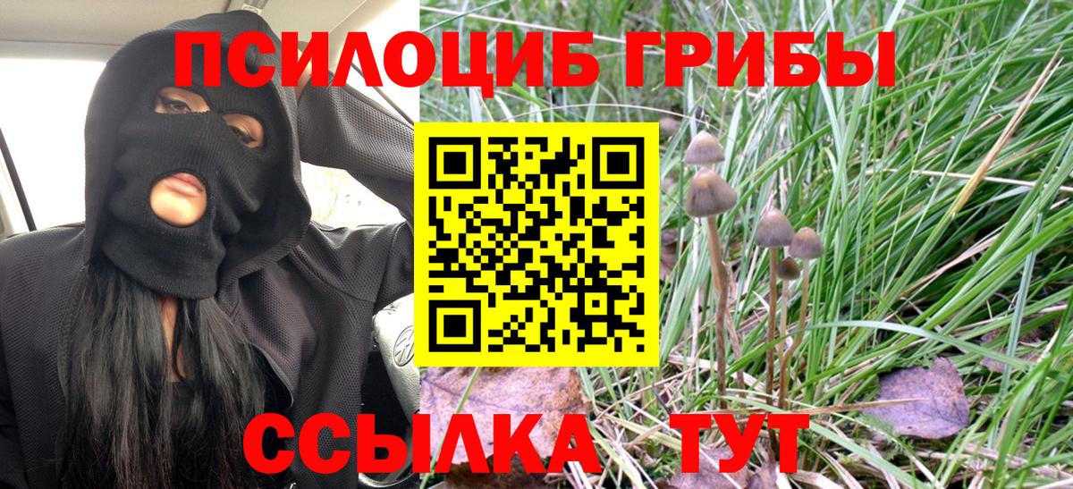 Галлюциногенные грибы GOLDEN TEACHER Когалым