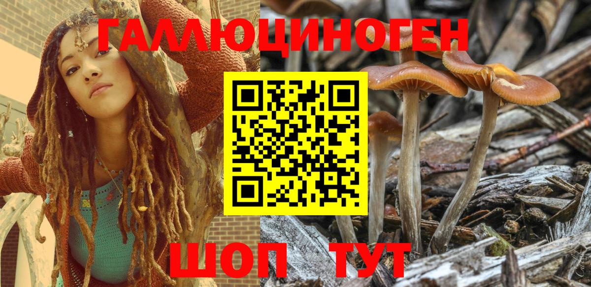 Галлюциногенные грибы Cubensis  Вход с VPN  Когалым  Псилоцибиновые грибы MAGIC MUSHROOMS 